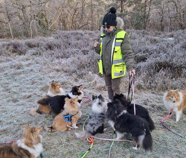 Promenade canine pour votre chien dans le Loiret ou la Seine et Marne