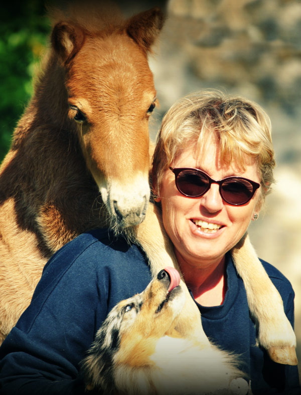 Une double passion pour les chiens et les poneys Shetland