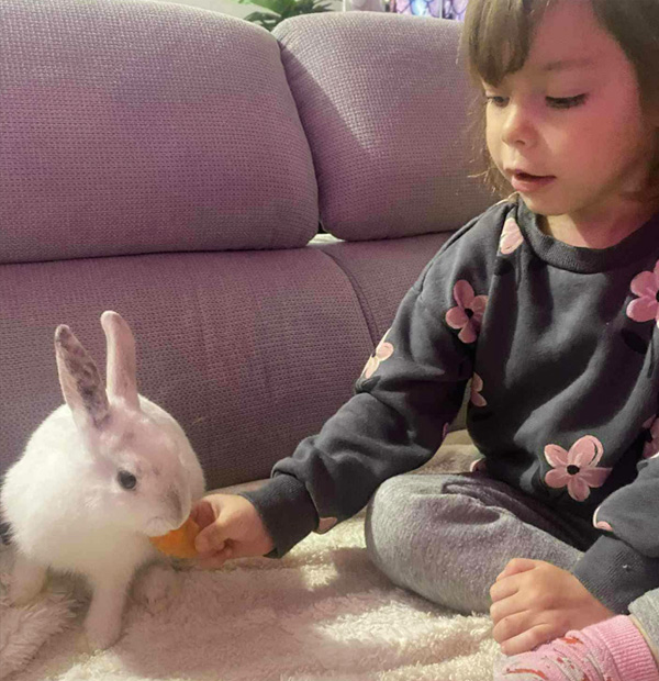 Médiation animale pour enfants jusqu'à 12 ans