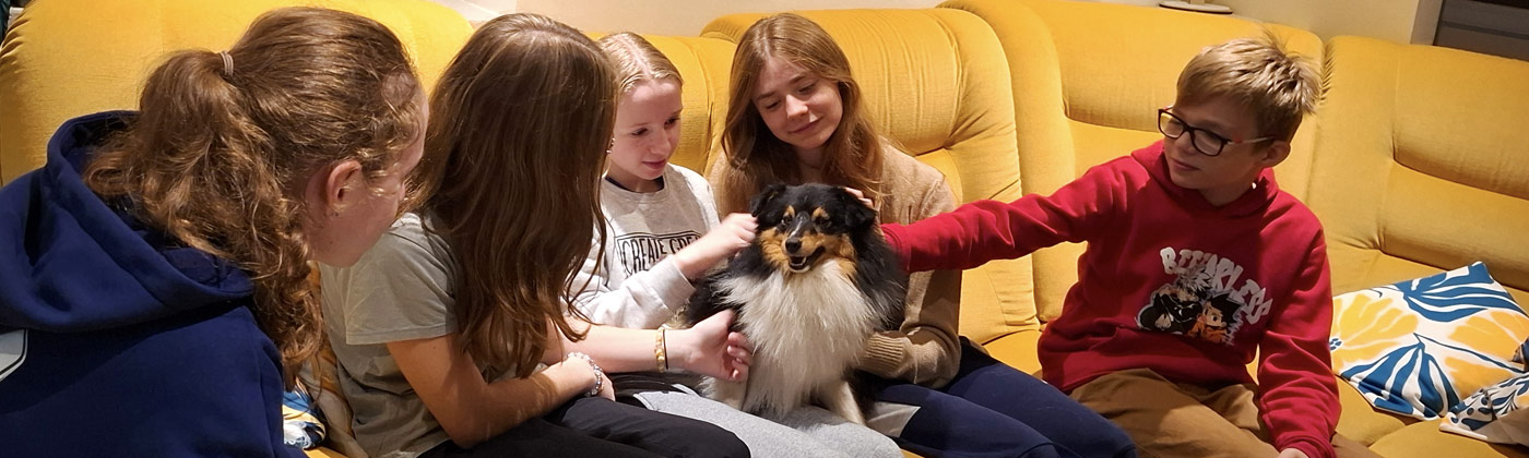 Médiation animale pour enfants et adultes dans le Loiret 45 et la Seine et Marne 77