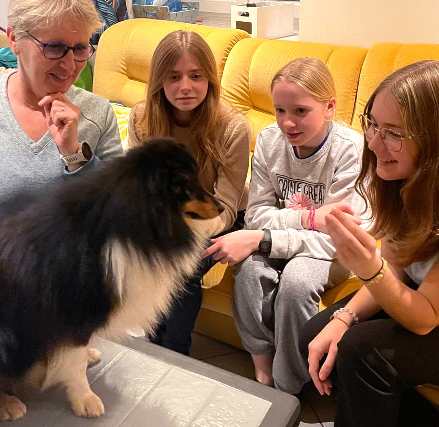Médiation animale pour adultes et enfants dans le Loiret ou la Seine et Marne