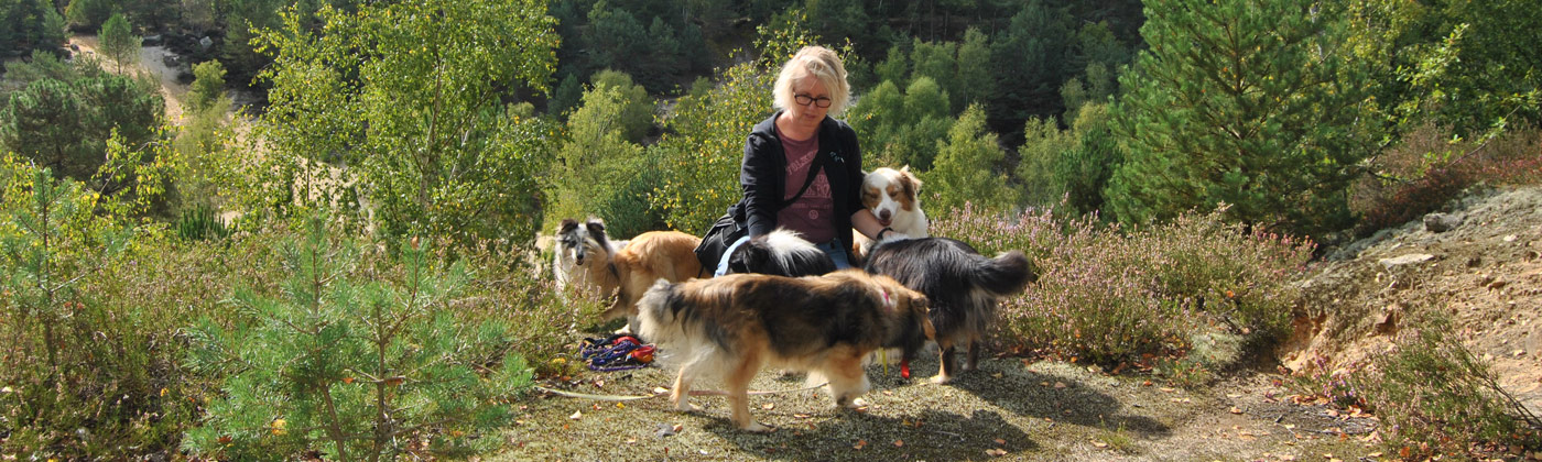 Tarifs des prestations de pet sitting et médiation animale, Loiret et Seine et Marne