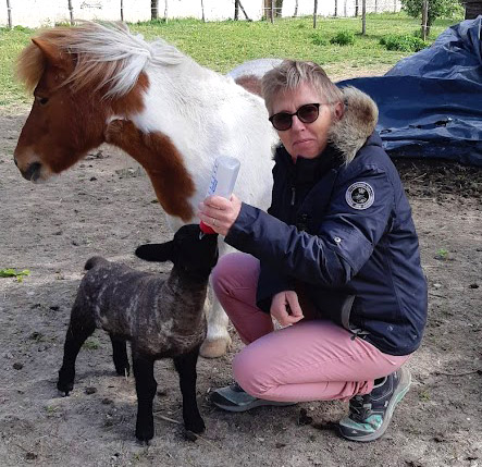 Je m'occupe de vos animaux en votre absence dans le Loiret et la Seine et Marne